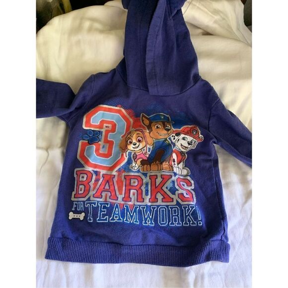 Paw Patrol Hoodie - Picture 6 of 6